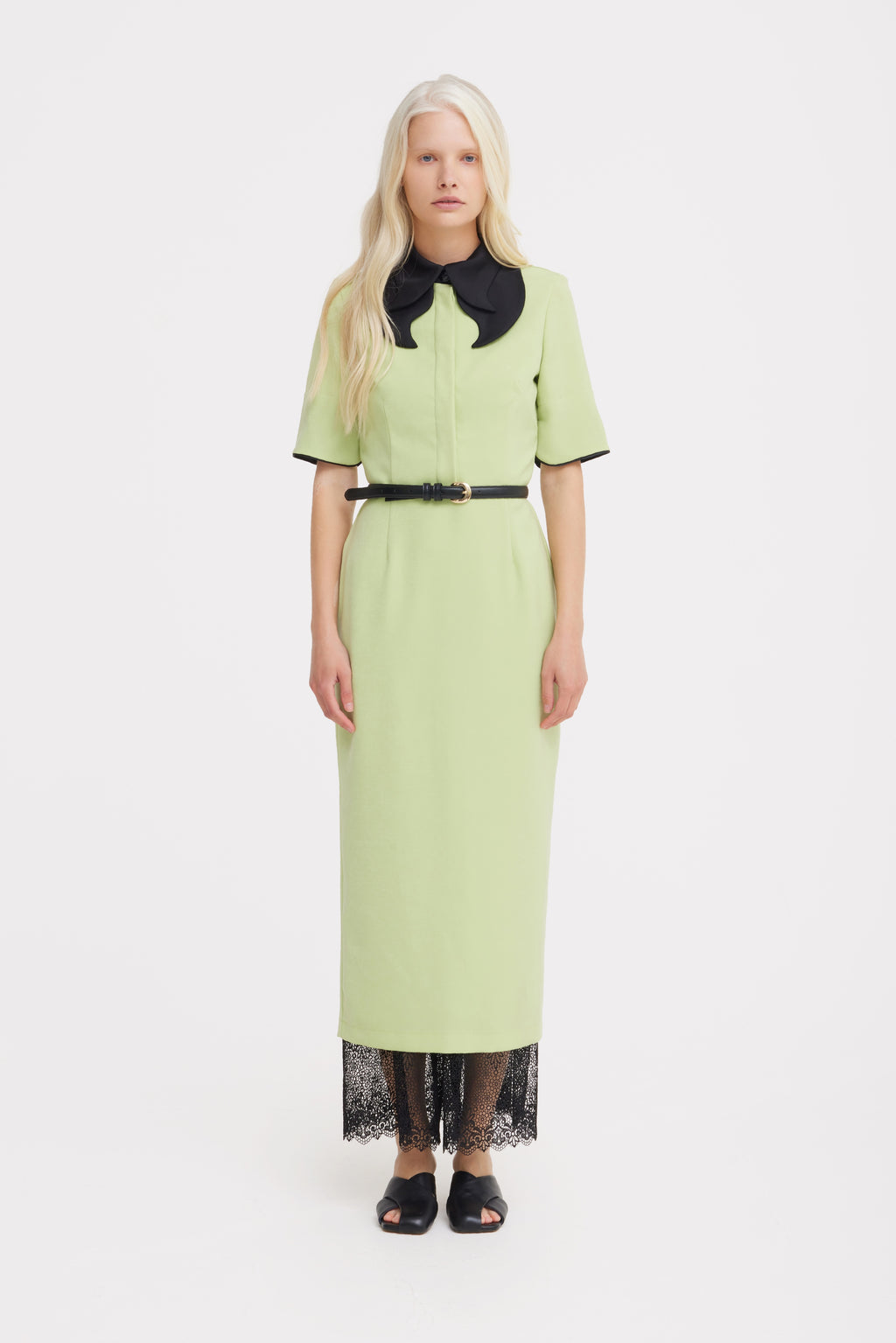 Polished Fitted Midi Short Sleeve Dress