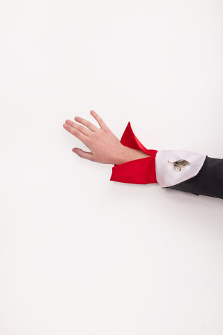 Designer Longsleeve Blouse Satin Red