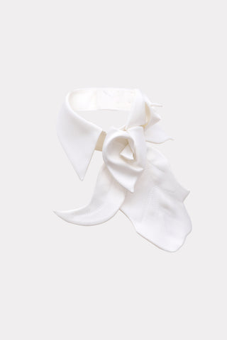 Designer Neckwear - Collar White