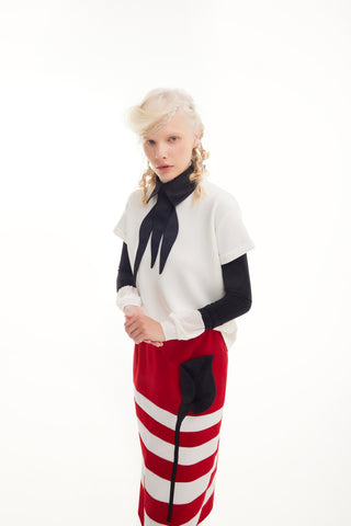 Contemporary Striped A-Line Skirt, Black Floral Detail – Red