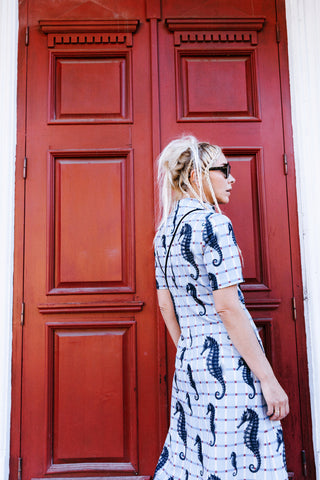 Pale Blue Seahorse Grid Print Fluid A-Line Dress – Capsule Edition