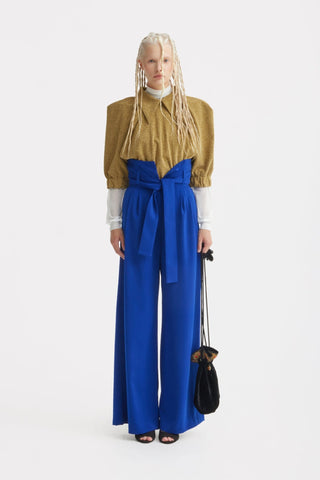 Evening Metallic Knit Puff Sleeve Blouse - Gold - Julia Allert