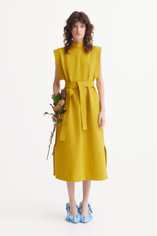 Stylish Straight Dress With Belt Mustard - Julia Allert
